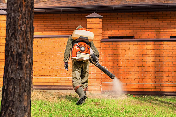 Trusted Emergency Pest Control service in Ponderosa Park, CO - Nex Pest Control